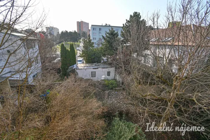 Pronájem bytu 2+1, Brno, Škroupova, 56 m2