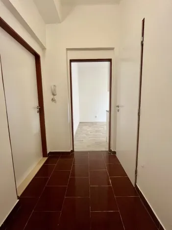 Pronájem bytu 1+1, Ostrava - Přívoz, Hájkova, 50 m2