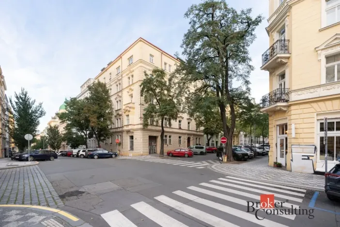Prodej bytu 1+1, Praha - Vinohrady, Moravská, 52 m2