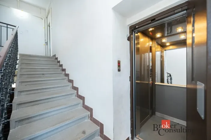 Prodej bytu 1+1, Praha - Vinohrady, Moravská, 52 m2