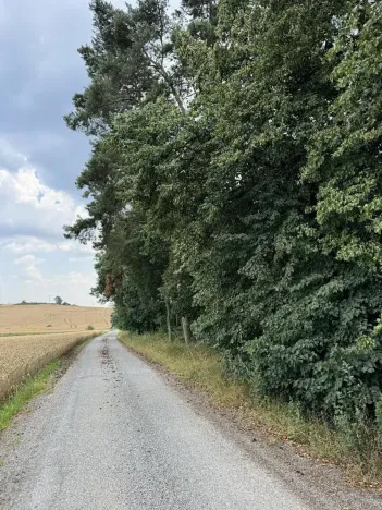 Prodej podílu lesa, Kojice, 4203 m2