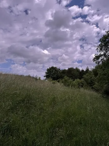 Prodej podílu pozemku, Suchdol, 3247 m2