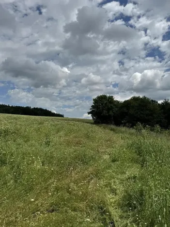 Prodej podílu pozemku, Suchdol, 3247 m2