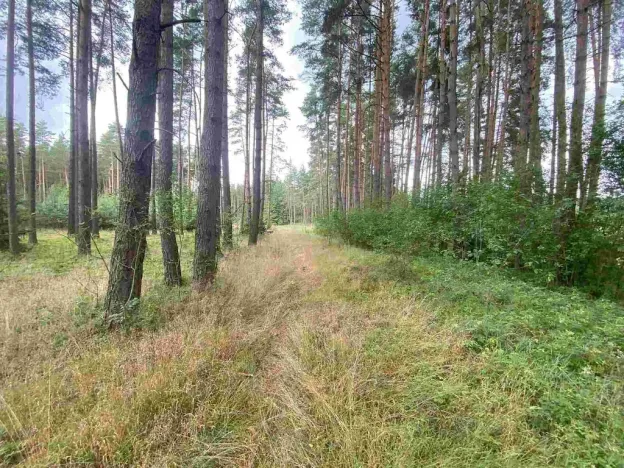 Prodej pozemku, Kladruby - Tuněchody, 1744 m2