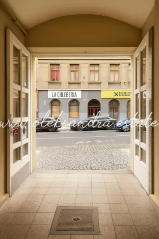 Prodej bytu 1+1, Praha - Žižkov, Husitská, 39 m2