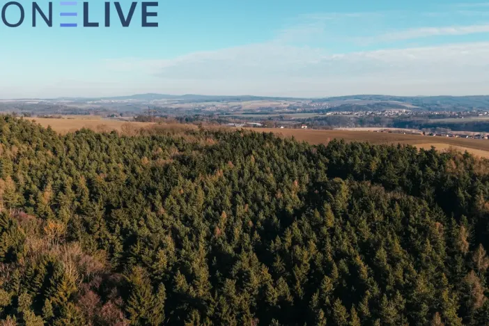 Prodej pozemku pro bydlení, Zruč-Senec, 1307 m2