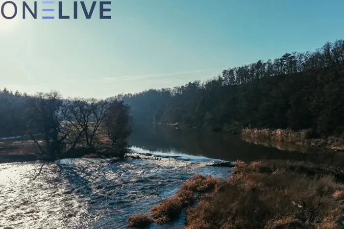 Prodej pozemku pro bydlení, Zruč-Senec, 1307 m2