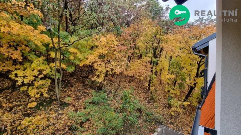 Pronájem bytu 2+kk, Praha - Michle, Pod Stárkou, 40 m2