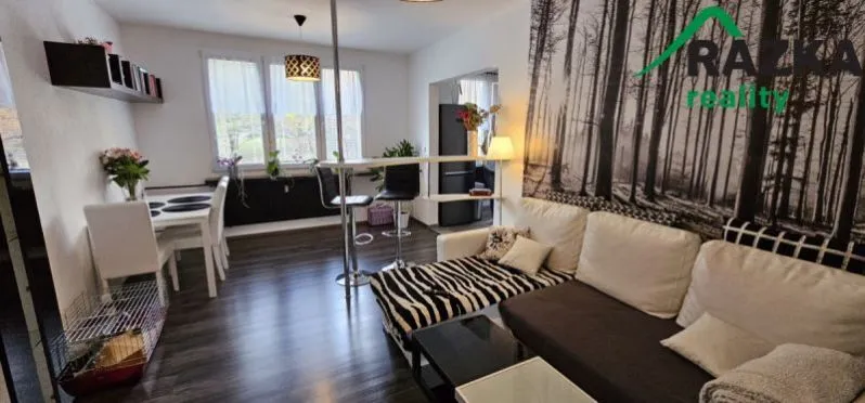 Pronájem bytu 2+1, Tachov, Stadtrodská, 59 m2