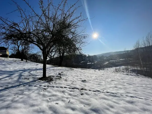 Prodej pozemku pro bydlení, Česká Třebová, 6000 m2