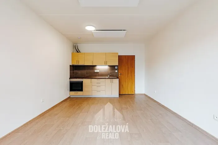 Pronájem bytu 1+kk, Třešť, Nádražní, 30 m2