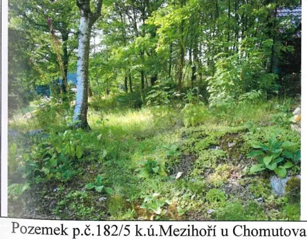 Prodej lesa, Blatno, 1106 m2