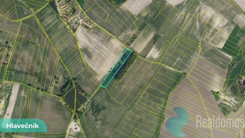 Prodej podílu 1/8 pole, Hlavečník, 3089 m2
