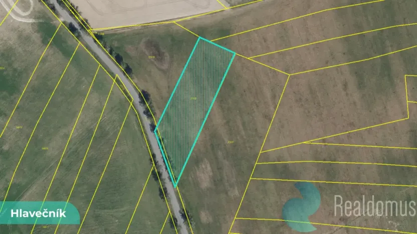 Prodej podílu 1/8 pole, Hlavečník, 3089 m2
