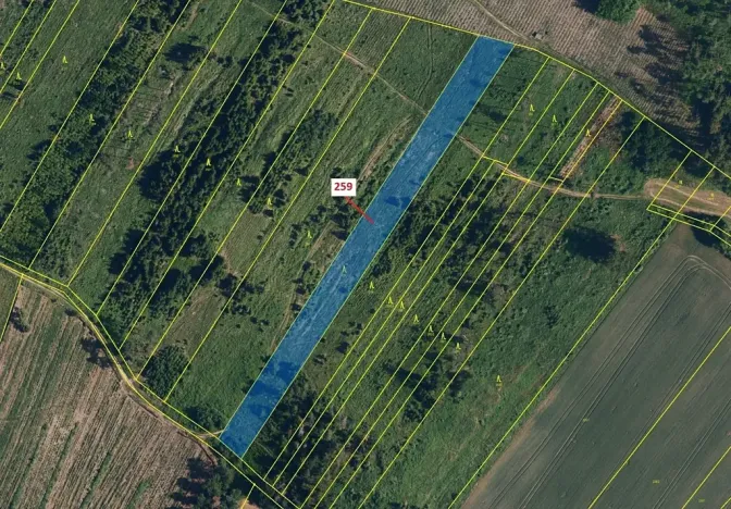 Dražba lesa, Vícenice, 6645 m2