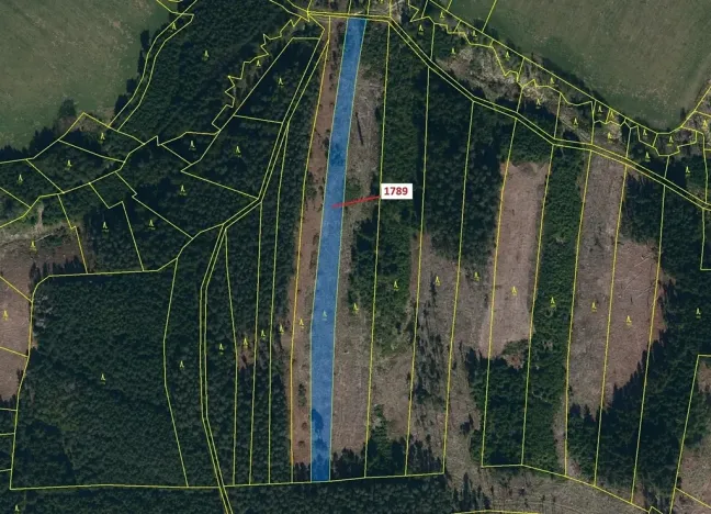 Dražba lesa, Žirovnice, 5036 m2