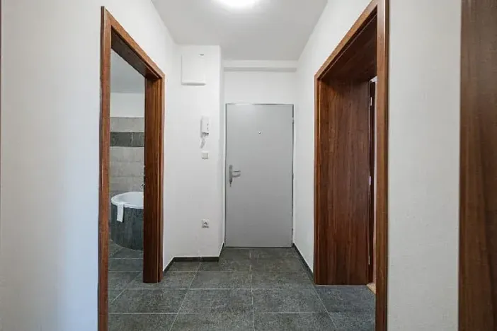 Pronájem apartmánu, Ostrava, Riegrova, 300 m2