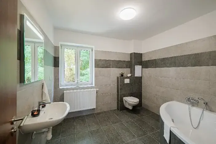 Pronájem apartmánu, Ostrava, Riegrova, 300 m2