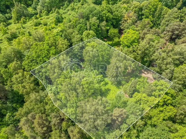 Prodej pozemku pro bydlení, Hrubá Skála, 5519 m2