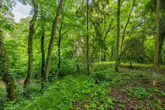 Prodej pozemku pro bydlení, Hrubá Skála, 5519 m2