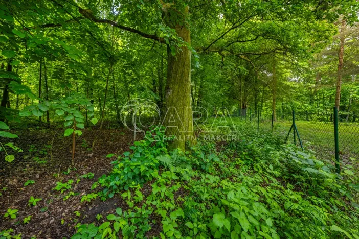 Prodej pozemku pro bydlení, Hrubá Skála, 5519 m2