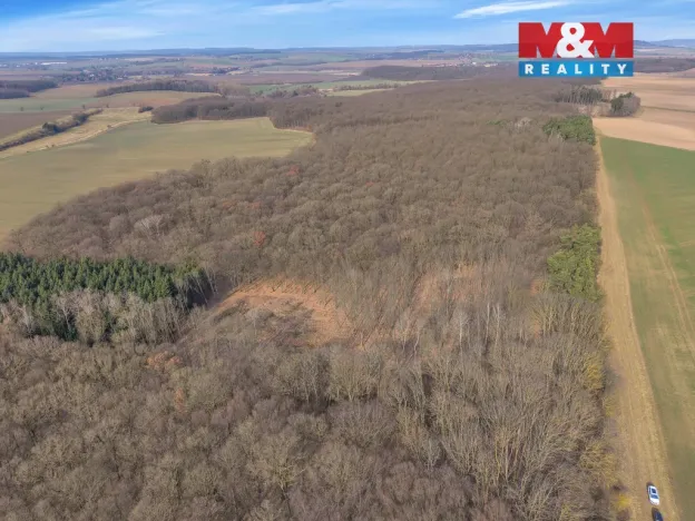 Prodej lesa, Slatiny, 6169 m2