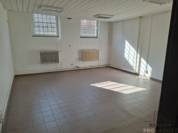Pronájem výrobních prostor, Slaný, Netovická, 230 m2