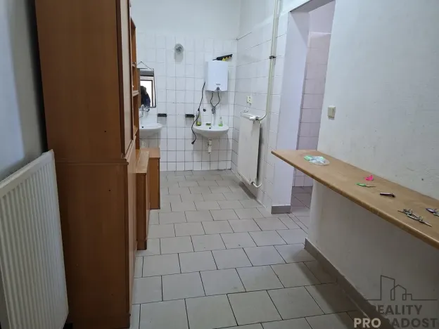 Pronájem výrobních prostor, Slaný, Netovická, 230 m2