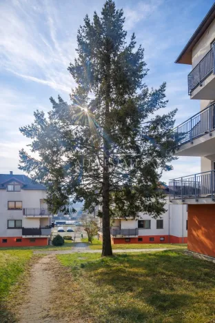 Prodej bytu 4+kk, Chodov, Bezručova, 120 m2