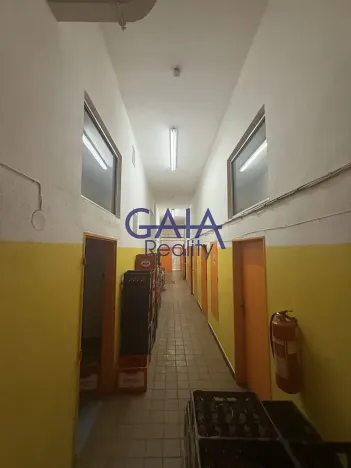 Prodej obchodního prostoru, Dačice, B. Němcové, 600 m2