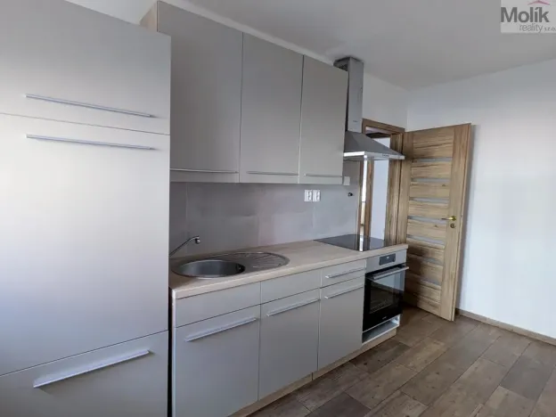 Pronájem bytu 2+1, Teplice, Duchcovská, 55 m2