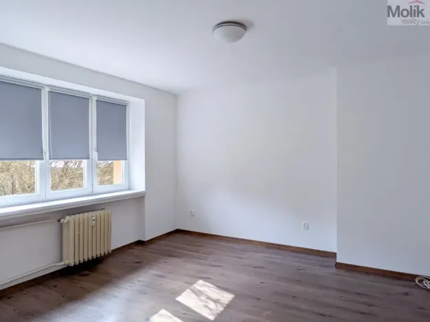 Pronájem bytu 2+1, Teplice, Duchcovská, 55 m2