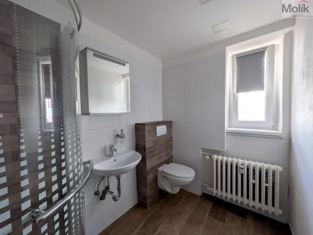 Pronájem bytu 2+1, Teplice, Duchcovská, 55 m2