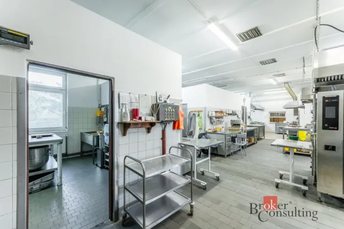 Prodej restaurace, Krásný Dvůr - Vysoké Třebušice, 600 m2