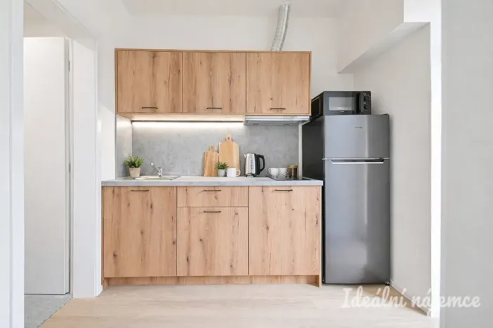 Pronájem bytu 1+1, Brno, Bubeníčkova, 25 m2