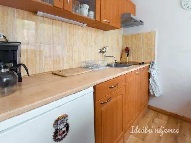 Pronájem bytu 1+1, Ostrava - Poruba, Svojsíkova, 25 m2