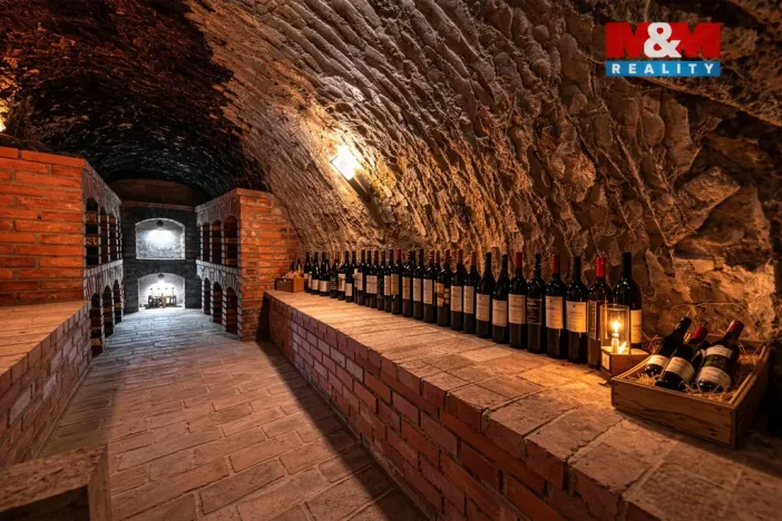 Prodej vinného sklepa, Chvalovice, 62 m2