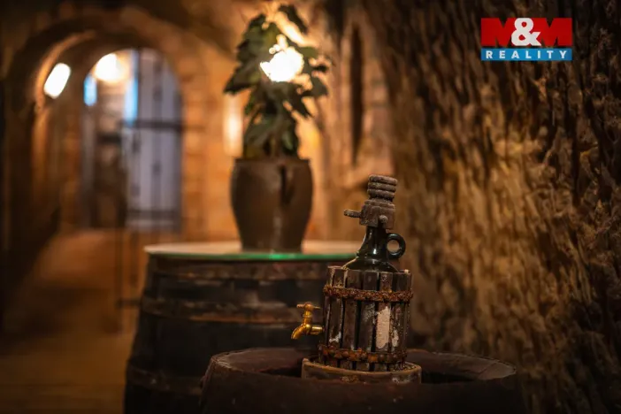 Prodej vinného sklepa, Chvalovice, 62 m2