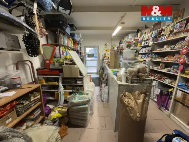 Prodej obchodního prostoru, Karviná - Ráj, Kosmonautů, 30 m2