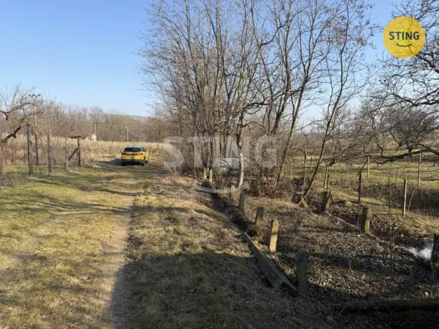 Prodej sadu/vinice, Miroslavské Knínice, 4555 m2