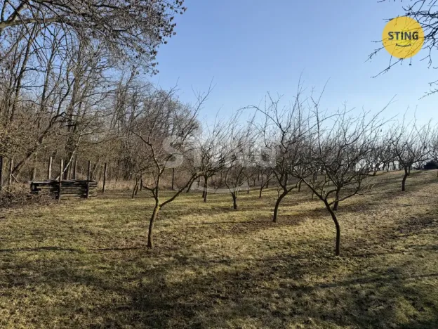 Prodej sadu/vinice, Miroslavské Knínice, 4555 m2