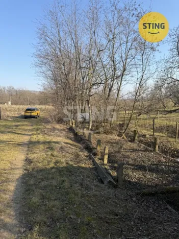 Prodej sadu/vinice, Miroslavské Knínice, 4555 m2