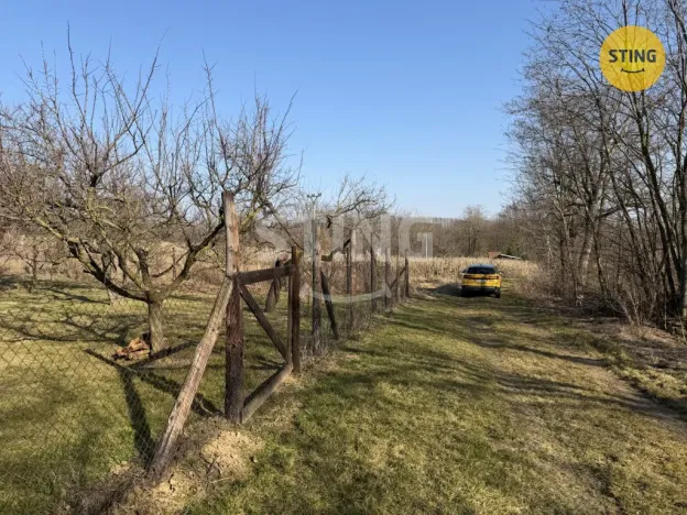 Prodej sadu/vinice, Miroslavské Knínice, 4555 m2