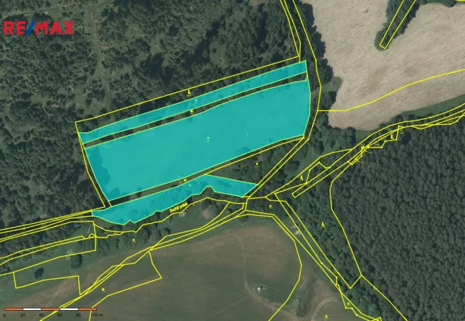 Prodej louky, Kynšperk nad Ohří, 20332 m2