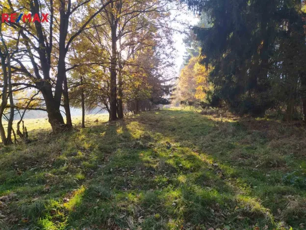 Prodej louky, Kynšperk nad Ohří, 20332 m2