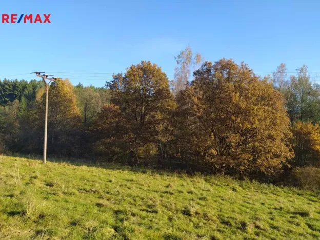 Prodej louky, Kynšperk nad Ohří, 20332 m2