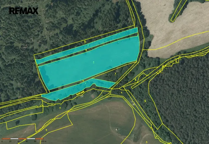Prodej louky, Kynšperk nad Ohří, 20332 m2