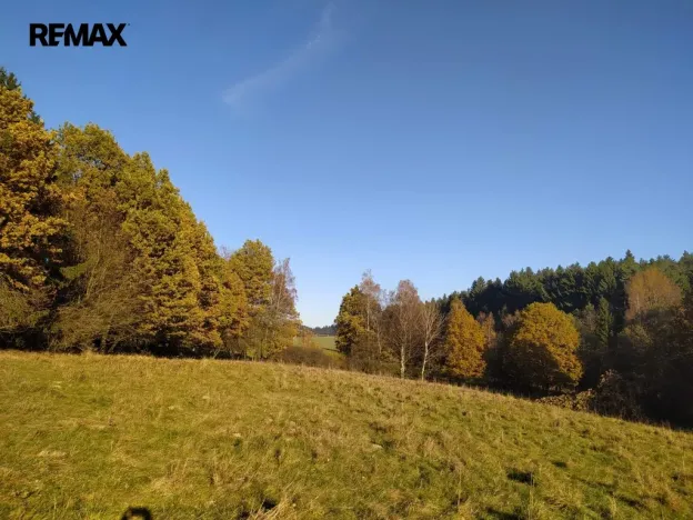 Prodej louky, Kynšperk nad Ohří, 20332 m2