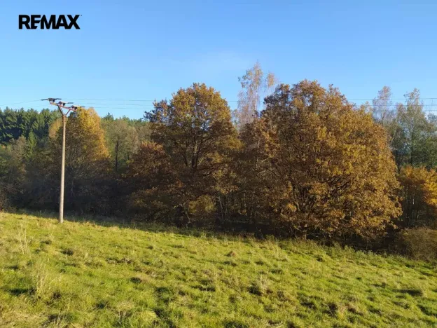 Prodej louky, Kynšperk nad Ohří, 20332 m2