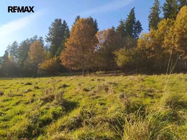 Prodej louky, Kynšperk nad Ohří, 20332 m2